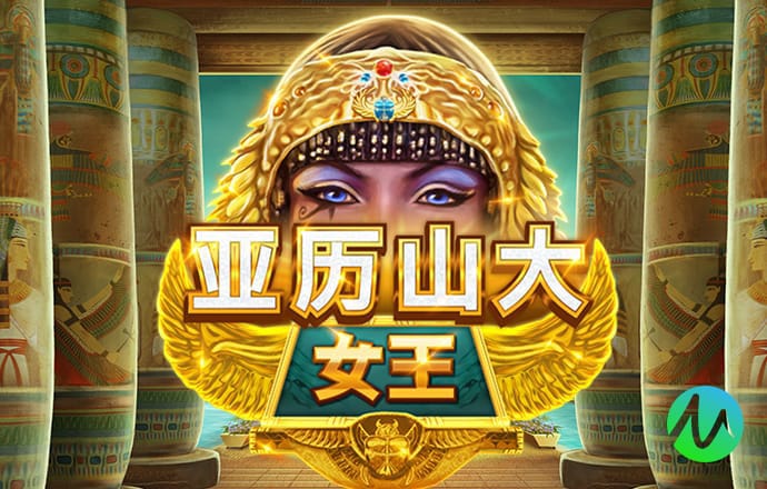 力量体育平台官网