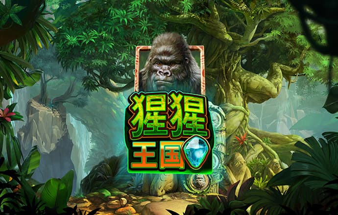 米6体育平台